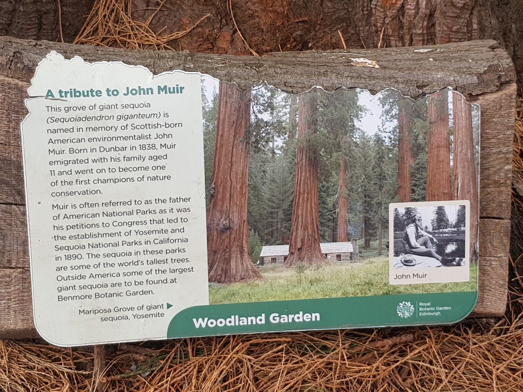 written information about a tree grove