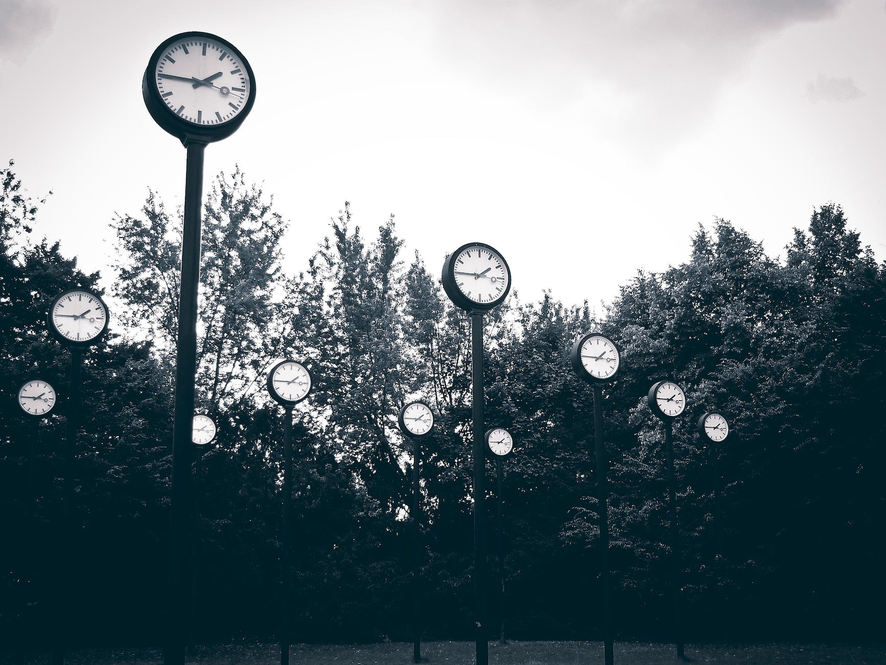 photo of clocks standing on long legs in a forest clearing